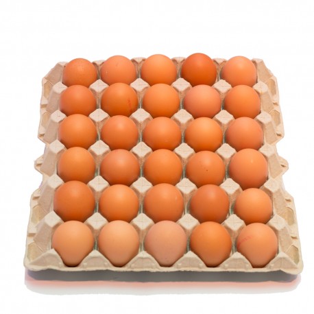 ID 1467105 - HUEVO EXTRA 61-68 GR - COLOR 30 UNIDADES